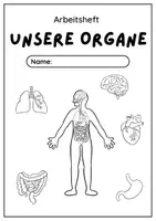Vorschau - Unterrichtsreihen - Materialpaket: Unsere Organe - Seite 2