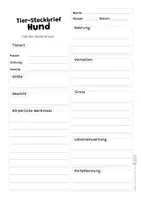 Vorschau - Arbeitsblätter - Hund Komplettpaket - mit Lesetext, Steckbrief, Lückentext, Suchsel, Quiz und Ausmalbildern - Seite 2