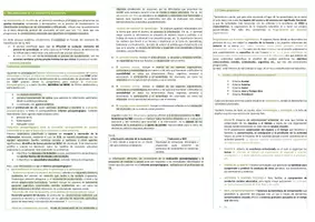 Vista previa - Para docentes: organización, planificación y formación - Oposiciones PT (todas las comunidades): Esquema tema 24 - página 3