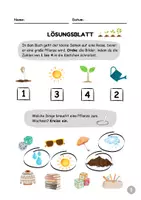 Vorschau - Arbeitsblätter - Arbeitsmaterial zur Lektüre "Der kleine Samen" - Seite 2