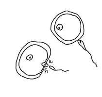 Vorschau - selbst erstellte Cliparts/Grafiken - Sexualkunde/Sexualerziehung ClipArts - Seite 3