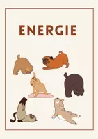 Vorschau - Poster - Energie/ emotionale Gesundheit /Achtsamkeit - Deckblatt