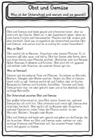 Vorschau - Stundenentwürfe - Materialpaket Pflanzen Obst Gemüse - Seite 2