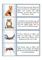 Vorschau - Arbeitsblätter - Lesen Verstehen Schreiben - Tiere | Abschreibübungen | Lesen lernen | Deutsch 2. Klasse - Seite 1