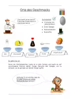 Vorschau - Arbeitsblätter - So schmecken wir - Auf Entdeckungsreise über die Zunge (Experiment) - Seite 2