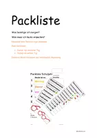 Vorschau - Anderer Materialtyp - Packliste: Übersichtsplan zur Selbstorganisation - Deckblatt