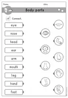 Vorschau - Arbeitsblätter - body parts Körperteile Arbeitsblatt differenziert - Englisch - Seite 3
