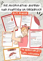 Vorschau - Arbeitsblätter - Die Muskulatur: Aufbau und Funktion im Überblick | Unterrichtsreihe "Der Mensch", Biologie, 6./7. Klasse - Deckblatt