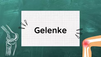 Vorschau - Stundenentwürfe - Stundenentwurf: Gelenke inkl Lösungen Teil 3 - Knochen & Muskeln - Biologie - Seite 2