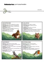 Vorschau - Arbeitsblätter - Rollenspiel Ökologische Nische Biotische Faktoren - Seite 2