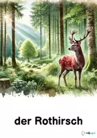 Vorschau - Poster - Waldtiere, Bildkarten - Seite 1