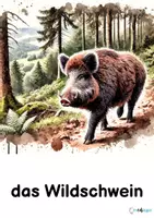 Vorschau - Poster - Waldtiere, Bildkarten - Seite 3