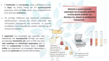 Προεπισκόπηση - Πειράματα - 2.1 Κεφ. 2ο Αντιγραφη Εκφραση - Θεωρία - Σελίδα 3