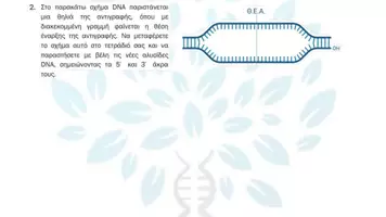 Προεπισκόπηση - Πειράματα - 2.7 Κεφ. 2ο Αντιγραφη Εκφραση - Προβλήματα ταξης - Σελίδα 3