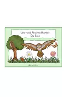 Vorschau - Stationenlernen - Die Eule_Lese und Abschreibkartei - Seite 1