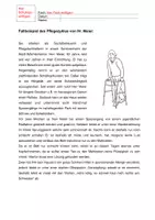 Vorschau - Arbeitsblätter - Lapbook zum Pflegeprozess mit Fallbeispiel - Seite 2