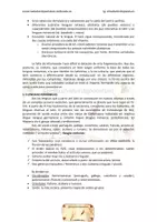 Vista previa - Para docentes: organización, planificación y formación - Tema 6 oposiciones latín Rasgos evolución del latín - página 2