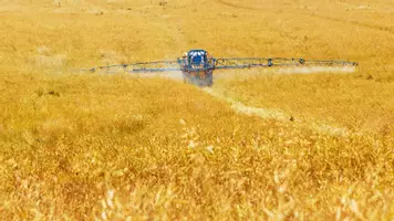 Vorschau - Stundenentwürfe - South Africa: Genetic engineering - Zwei Sichtweisen - Deckblatt