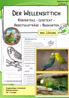 Vorschau - Arbeitsblätter - Wellensittich - Körperteile - Lesetext - Verständnisaufgaben - Bildkarten - Deckblatt