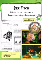 Vorschau - Arbeitsblätter - Fisch - Körperteile - Lesetext - Verständnisaufgaben - Bildkarten - Deckblatt