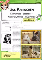 Vorschau - Arbeitsblätter - Kaninchen - Körperteile - Lesetext - Verständnisaufgaben - Bildkarten - Deckblatt
