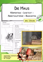 Vorschau - Arbeitsblätter - Maus- Körperteile - Lesetext - Verständnisaufgaben - Bildkarten - Deckblatt