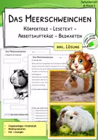 Vorschau - Arbeitsblätter - Meerschweinchen - Körperteile - Lesetext - Verständnisaufgaben - Bildkarten - Deckblatt