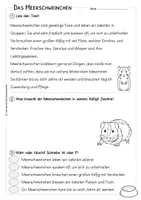 Vorschau - Arbeitsblätter - Meerschweinchen - Körperteile - Lesetext - Verständnisaufgaben - Bildkarten - Seite 3