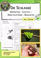 Vorschau - Arbeitsblätter - Schlange - Körperteile - Lesetext - Verständnisaufgaben - Bildkarten - Deckblatt