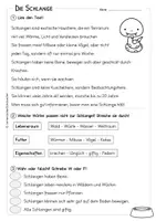 Vorschau - Arbeitsblätter - Schlange - Körperteile - Lesetext - Verständnisaufgaben - Bildkarten - Seite 3