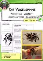 Vorschau - Arbeitsblätter - Vogelspinne - Körperteile - Lesetext - Verständnisaufgaben - Bildkarten - Deckblatt