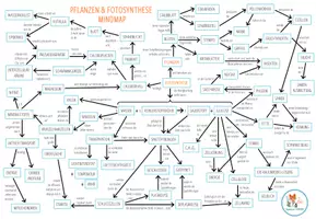 Vorschau - Arbeitsblätter - Fotosynthese - Mindmap - Seite 1