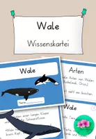 Vorschau - Aufgabenkarten - lehrreiche Wal Wissenskartei - inklusive Arbeitsheft - Deckblatt