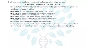 Προεπισκόπηση - Πειράματα - 6.6 Κεφ. 6ο Μεταλλάξεις - Προβλήματα Τάξης - Σελίδα 3