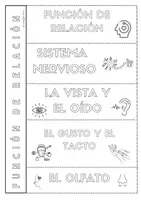 Vista previa - Hojas de trabajo - FUNCIÓN DE RELACIÓN- LIBRETA - Portada
