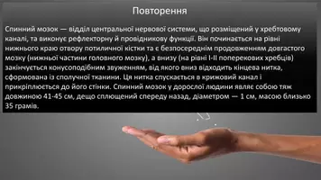 Попередній перегляд - Cпинний мозок - Сторінка 1