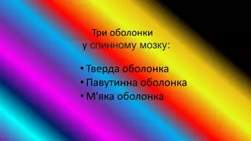 Попередній перегляд - Cпинний мозок - Сторінка 3