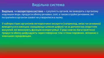 Попередній перегляд - Видільна система - Сторінка 1