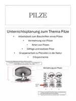 Vorschau - Arbeitsblätter - Pilze - gesamte Unterrichtsplanung - Deckblatt