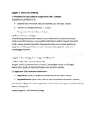 Vorschau - Arbeitsblätter - Internetrecherche zum Thema Öko-Label (Nachhaltigkeit, Greenwashing) - Seite 3