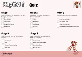 Vorschau - Quiz - Felia Funkelhuf Quiz analoge Version mit Lösungen - Seite 3