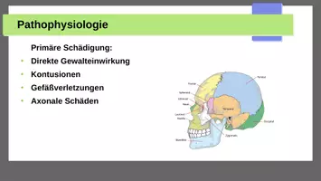 Vorschau - Arbeitsblätter - Materialpaket SHT Schädel Hirn Trauma für Pflegeberufe - Seite 3