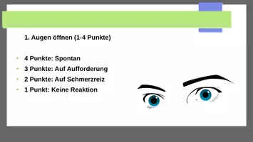 Vorschau - Präsentationen/Tafelbilder - Glasgow Coma Scale (GCS) - Seite 3
