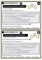 Vorschau - Fördermaterial/Inklusion - Partnerdiktat: Warum können Knochen brechen? - Seite 1