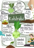 Vorschau - Arbeitsblätter - Plakat Beispiel und Bewertungsraster / Gemüseanbau - Seite 2