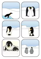 Vorschau - Bildkarten - Pinguin🐧 Bildergeschichte - Seite 2