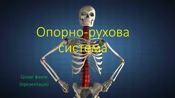 Попередній перегляд - Опорно-рухова система - Обкладинка