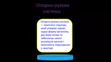 Попередній перегляд - Опорно-рухова система - Сторінка 1