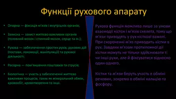 Попередній перегляд - Опорно-рухова система - Сторінка 2