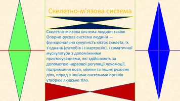 Попередній перегляд - Опорно-рухова система - Сторінка 3